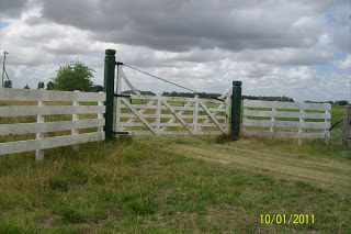 117_has_brandsen